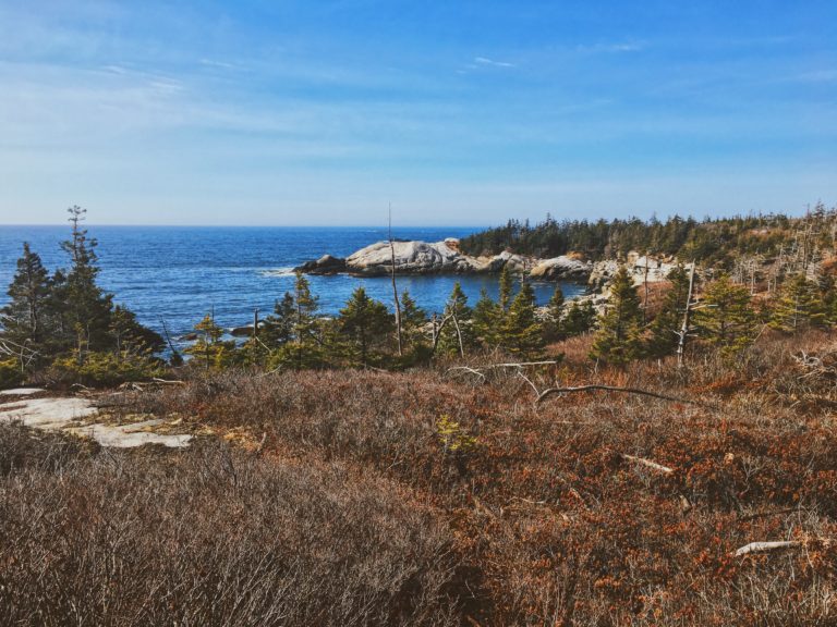 Discover the Pennant Point Hiking Trail in Nova Scotia