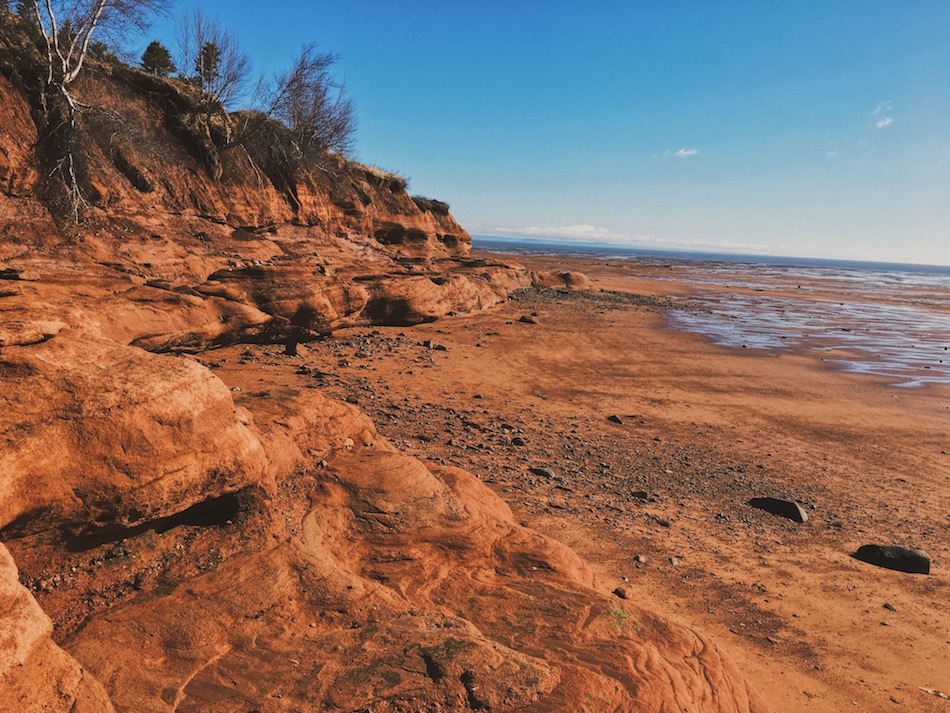The Oceans floor featuring the cliffs of Medford Beach. 