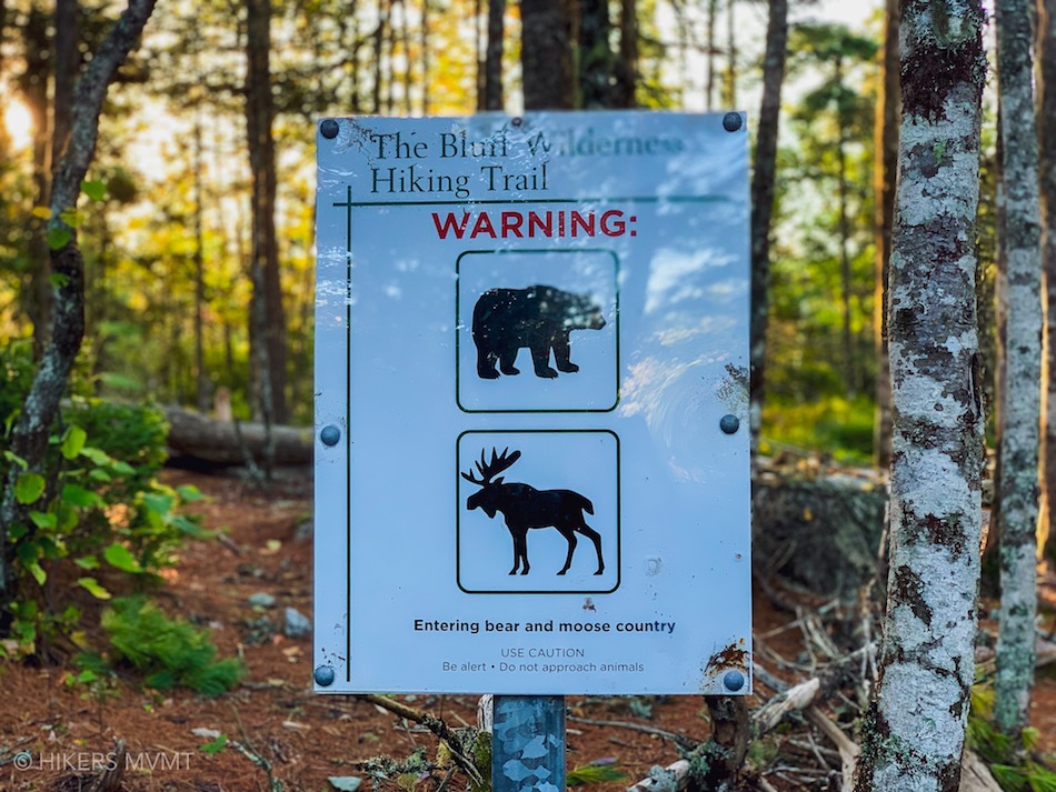 Animal encounter warning sign on the Bluff Wilderness Area trails.
