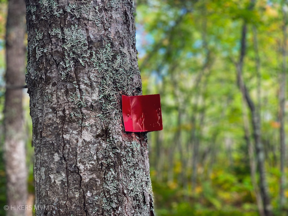 Red trail marker that mark the Bluff loop trail in the Bluff Wilderness hiking area.