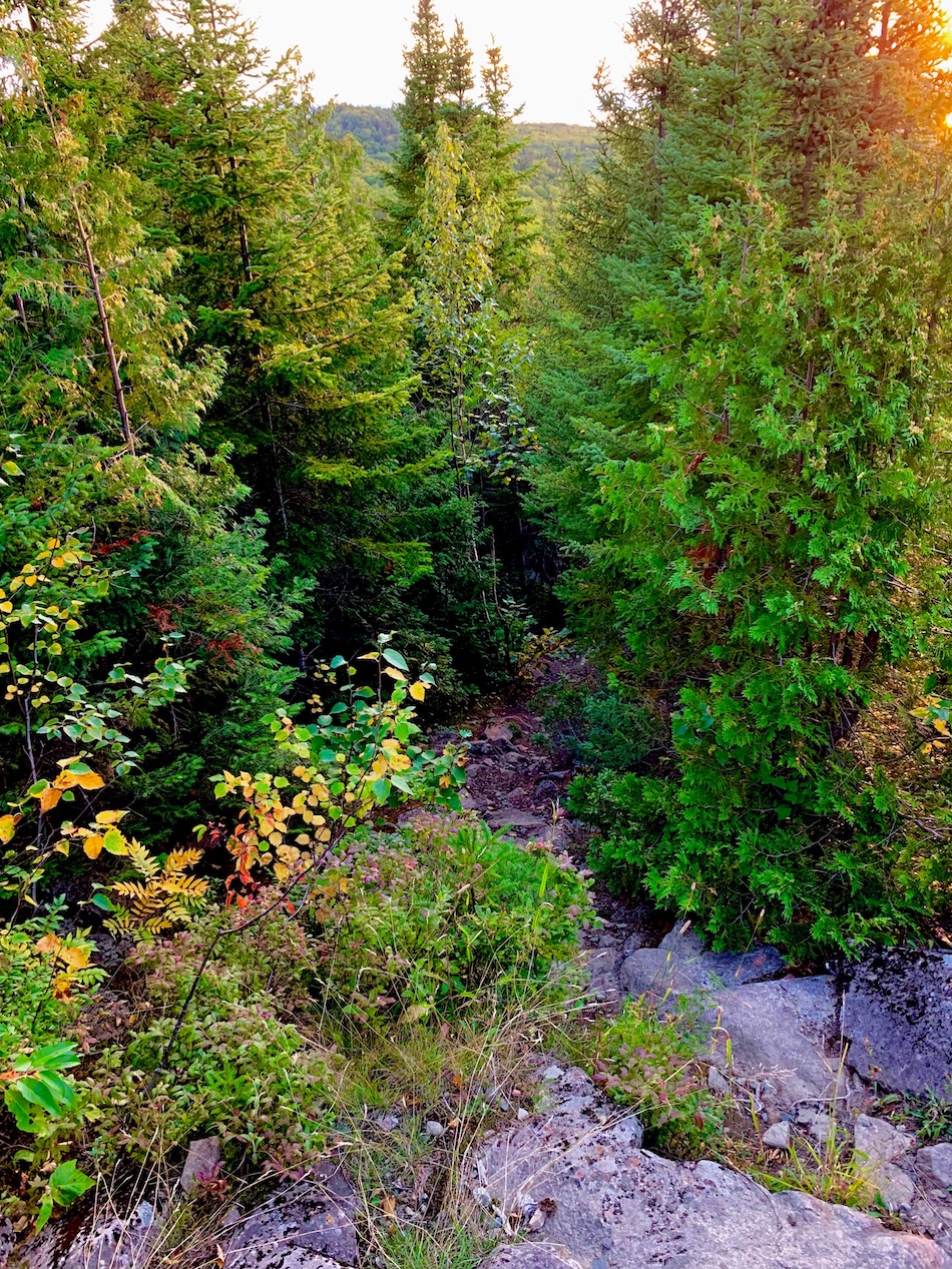 Hiking Dalhousie Mountain In New Brunswick - Hikers Movement