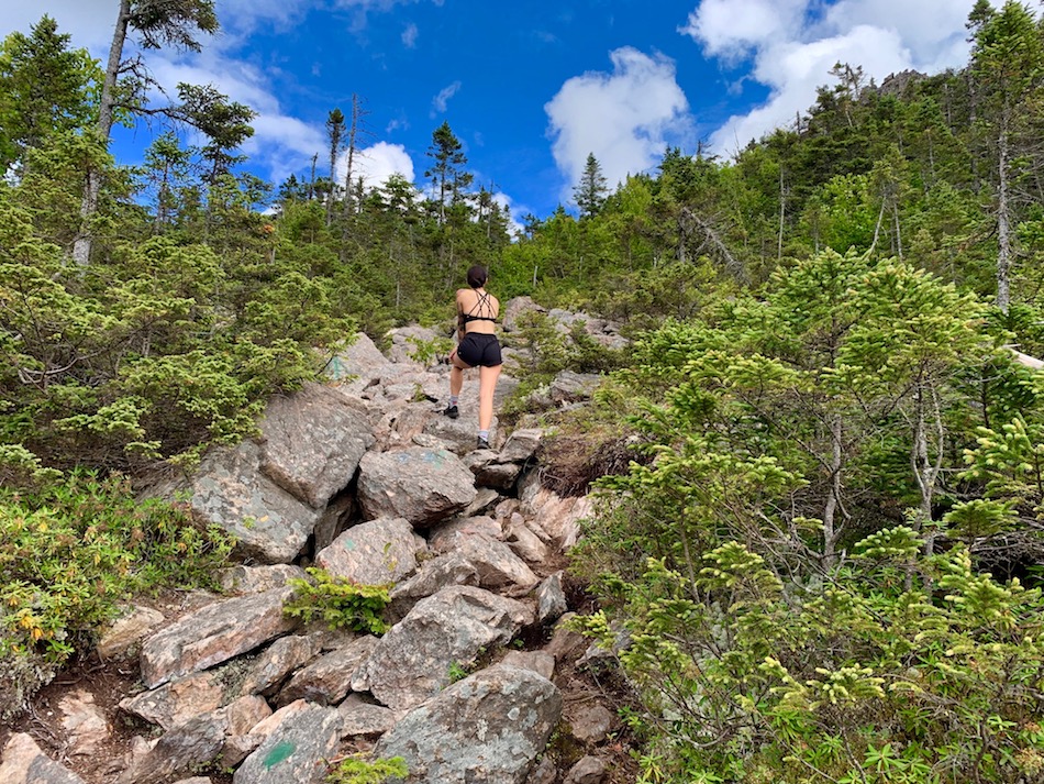 Julia scrambling up the Mount Carleton trail to reach the peak lookout. 