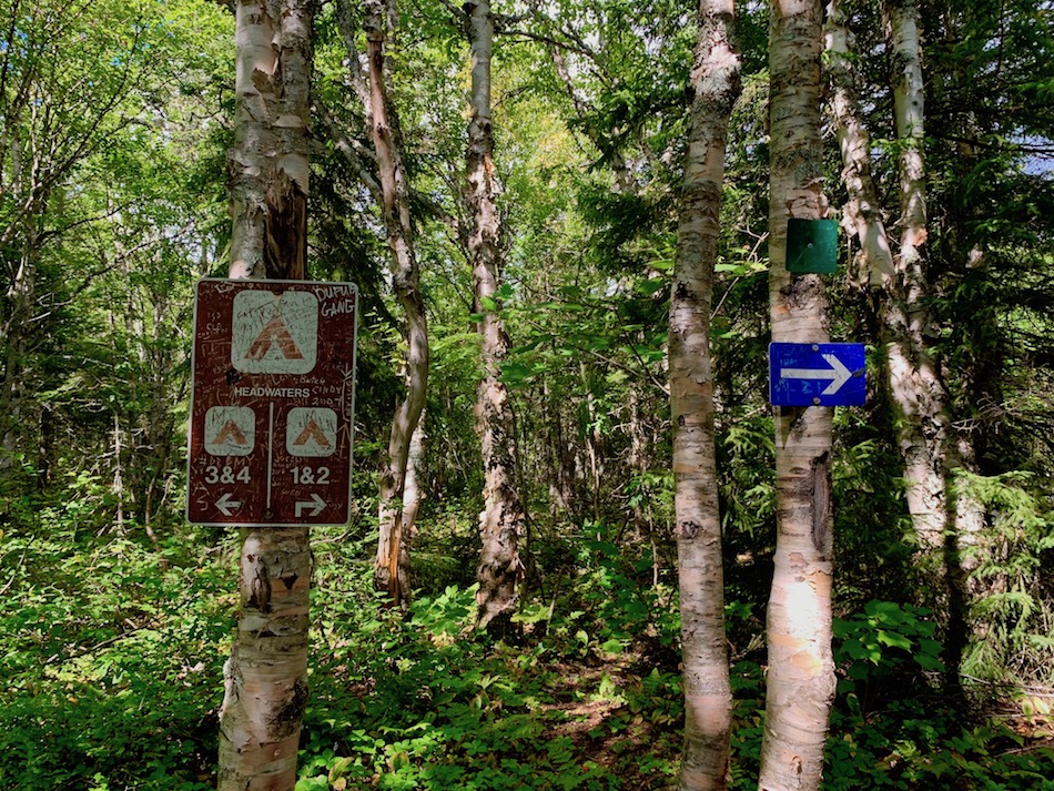 Signs indicating which way to the designated camping sites and an arrow pointing to continue onto the Mount Carleton trail. 