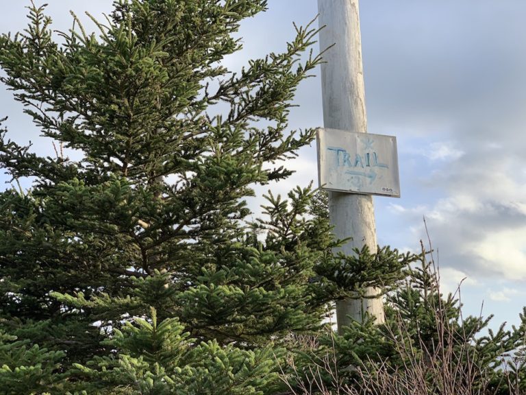 Duncans Cove Hiking Trail: Explore Nova Scotia’s Beautiful Coastline