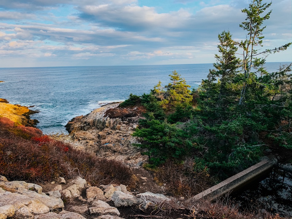 View of the ocean and Duncans Cove trail. 