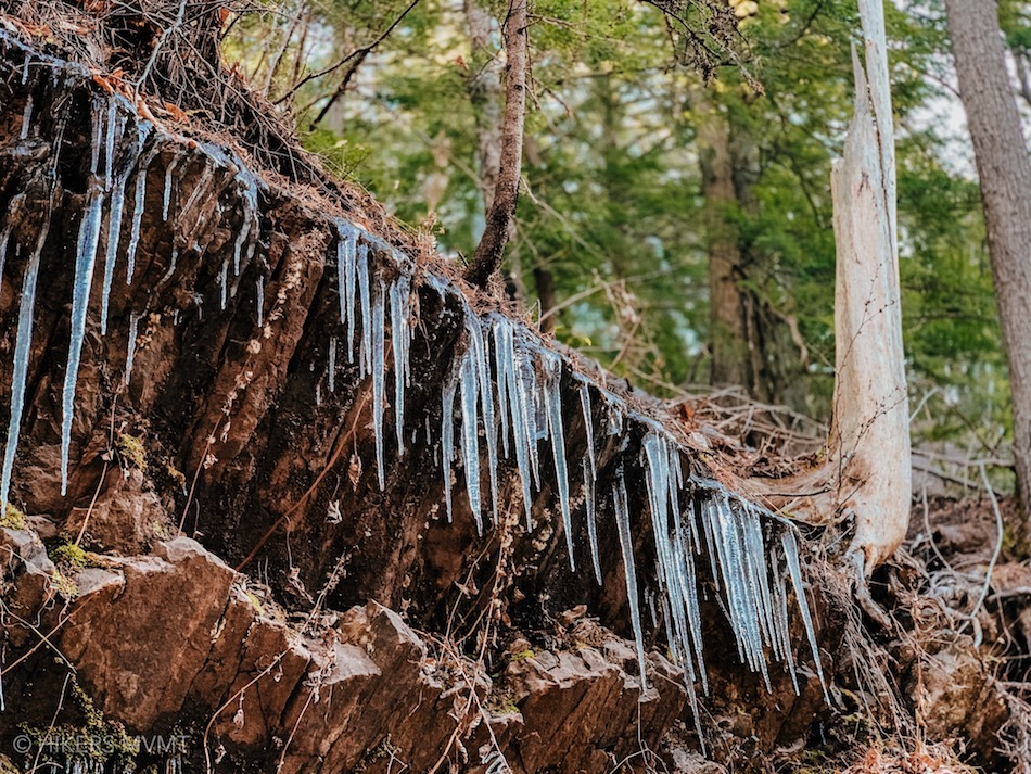Icicles along the trail.  