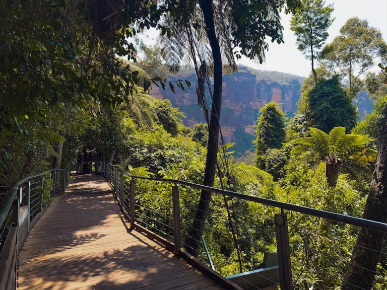 Guide To The Scenic Walkway At Scenic World In The Blue Mountains