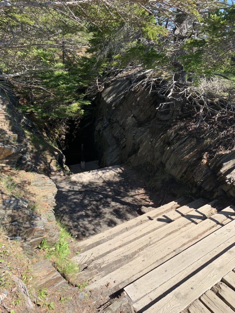 Wooden stairway leading down into a cave  in the Ovens Natural Park.