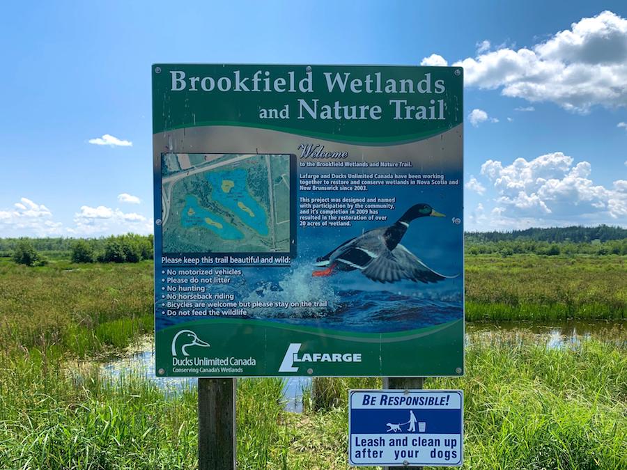 Informational sign at the Brookfield Wetlands.