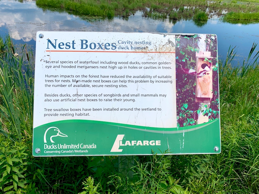 Interpretive sign explaining Nest Boxes.