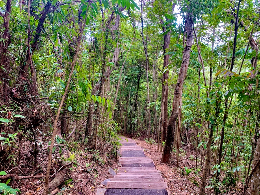 Long series of steps down to the trailhead at the Arrows. 