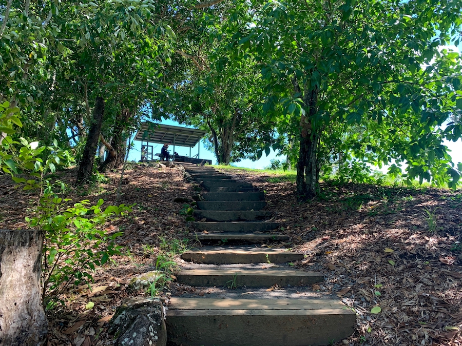 Stairway on the Arrows hiking trail. 