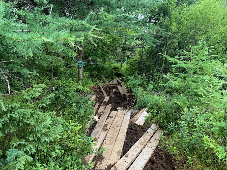 A broken manmade bridge along the Crowbar Lake trails. 