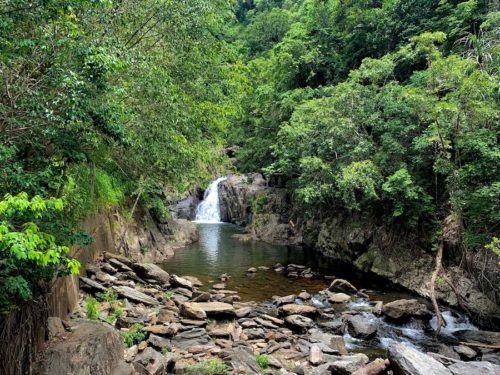 Hiking To Crystal Cascades & Fairy Falls (QLD, Australia) - Hikers Movement