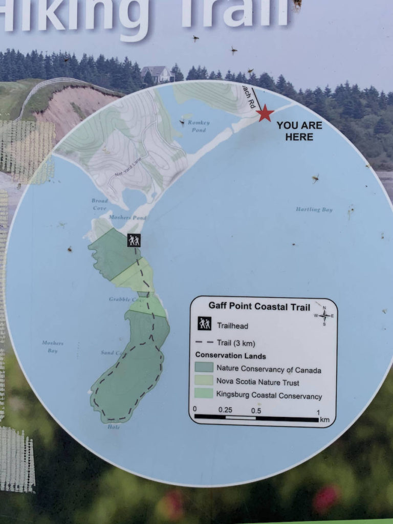 Trail map for Gaff Point Coastal Trail
