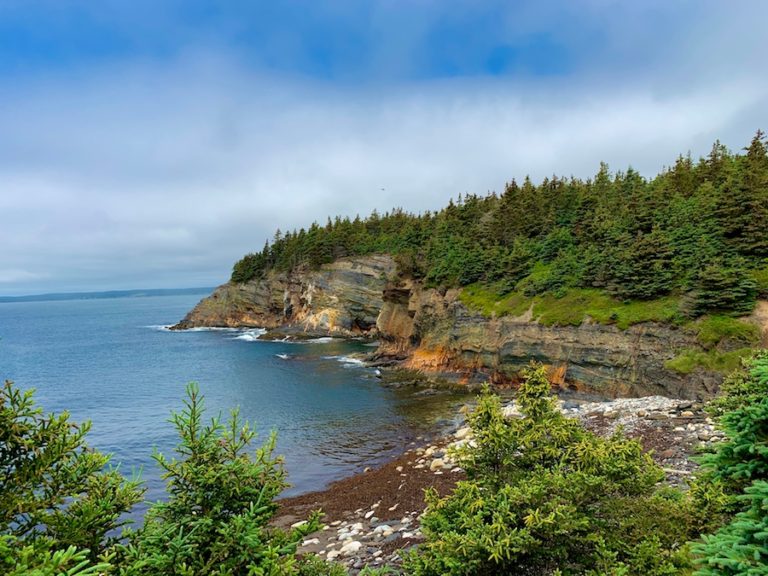 Hiking Gaff Point Trail: Everything You Need To Know