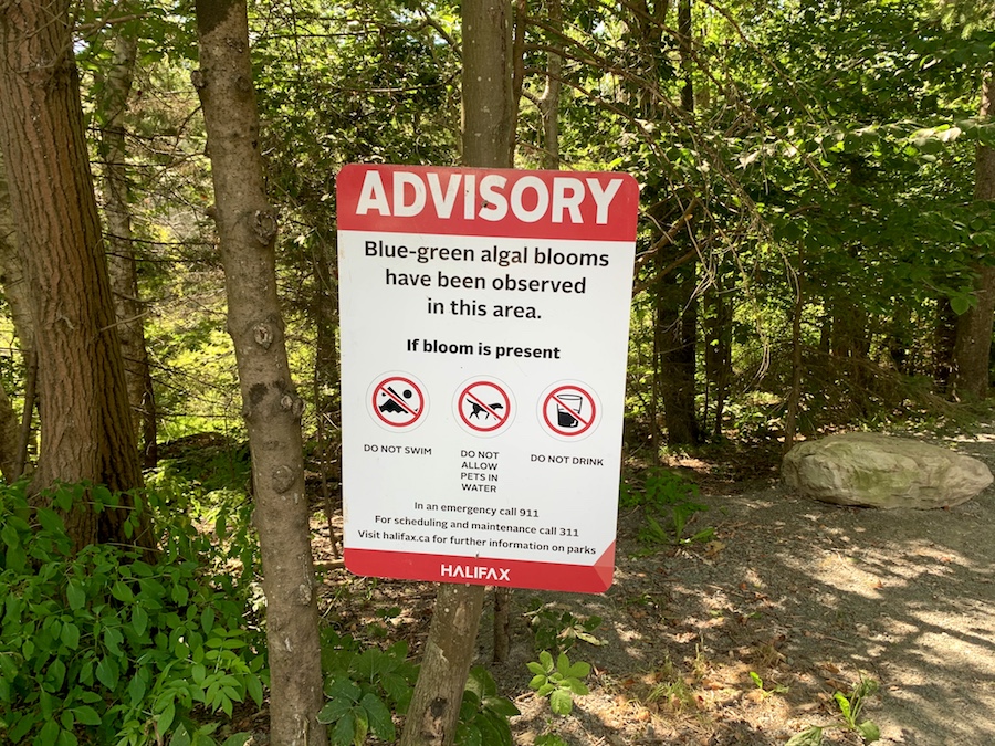 Advisory sign of blue-green algal in the area at Shubie Park. 