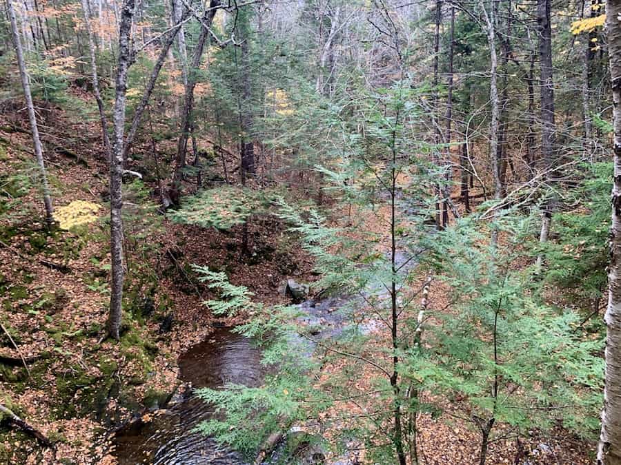 The river that MacInnis Brook Falls leads in to. 