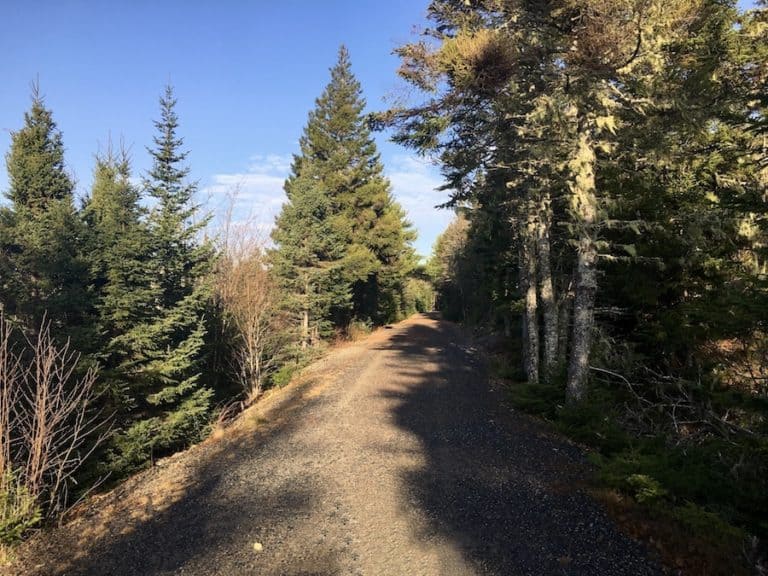 Hiker’s Guide To The Musquodoboit Trailway, Nova Scotia