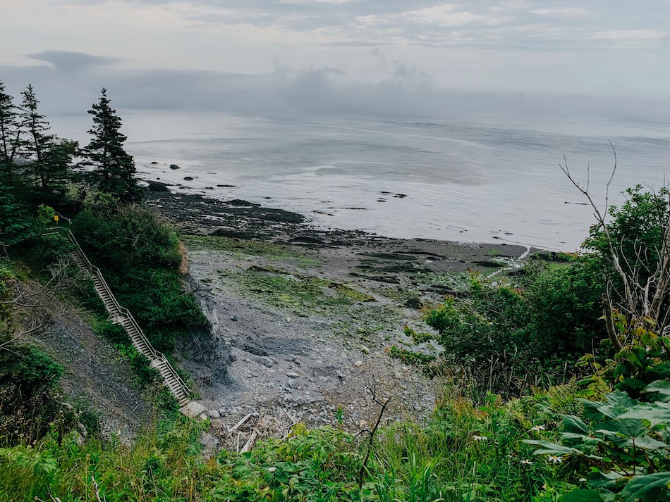 View of the Bay of Fundy and stairway from the beach to the trail on the Cape Chignecto Coastal Hike.