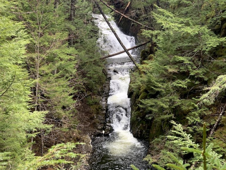 Dawson Brook Falls Hike, Nova Scotia)