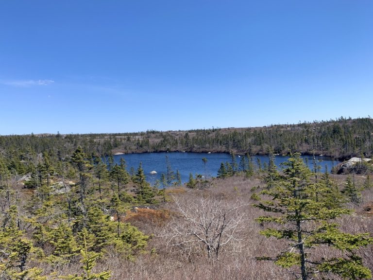 Hiking Quarry Lake Fall/Brophys Run Loop In Nova Scotia
