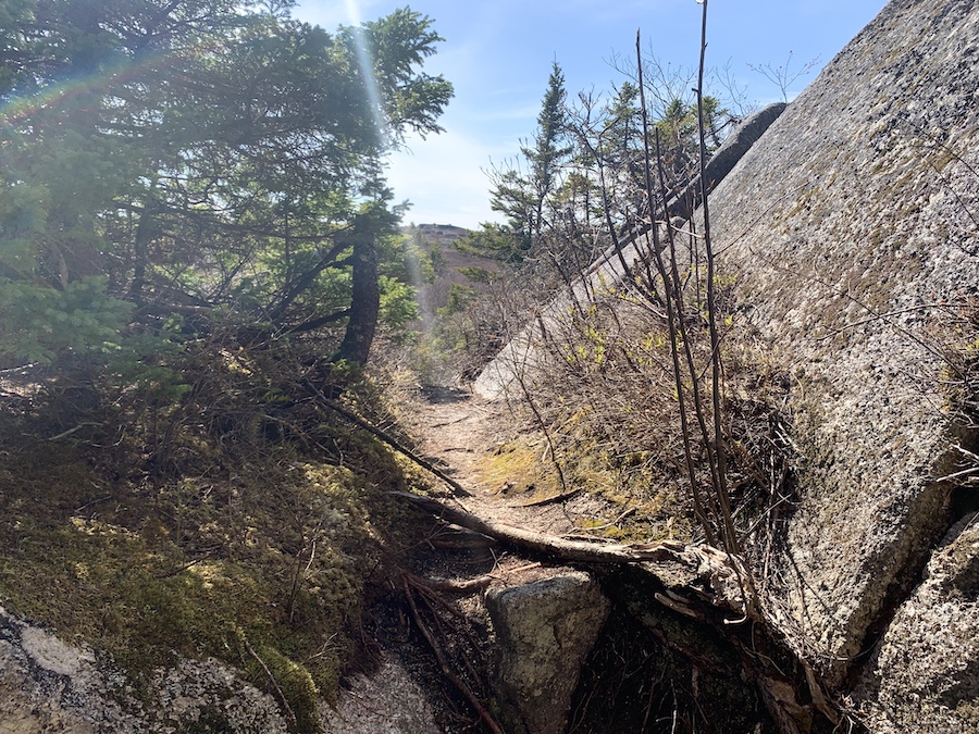 Narrow section of the Sorrow's End hiking trail.