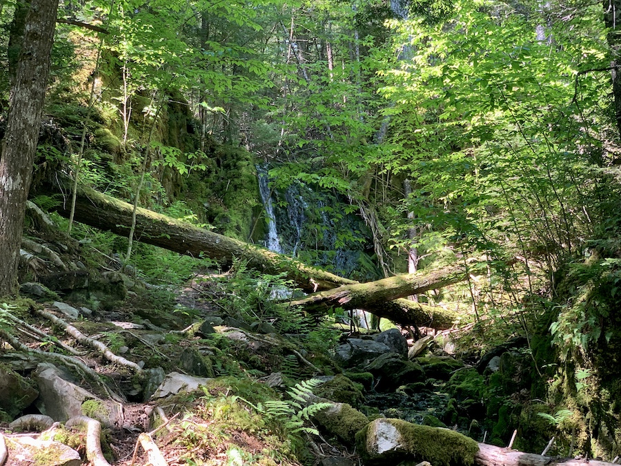 A small and distant waterfall along the Myra Road Falls trail. 