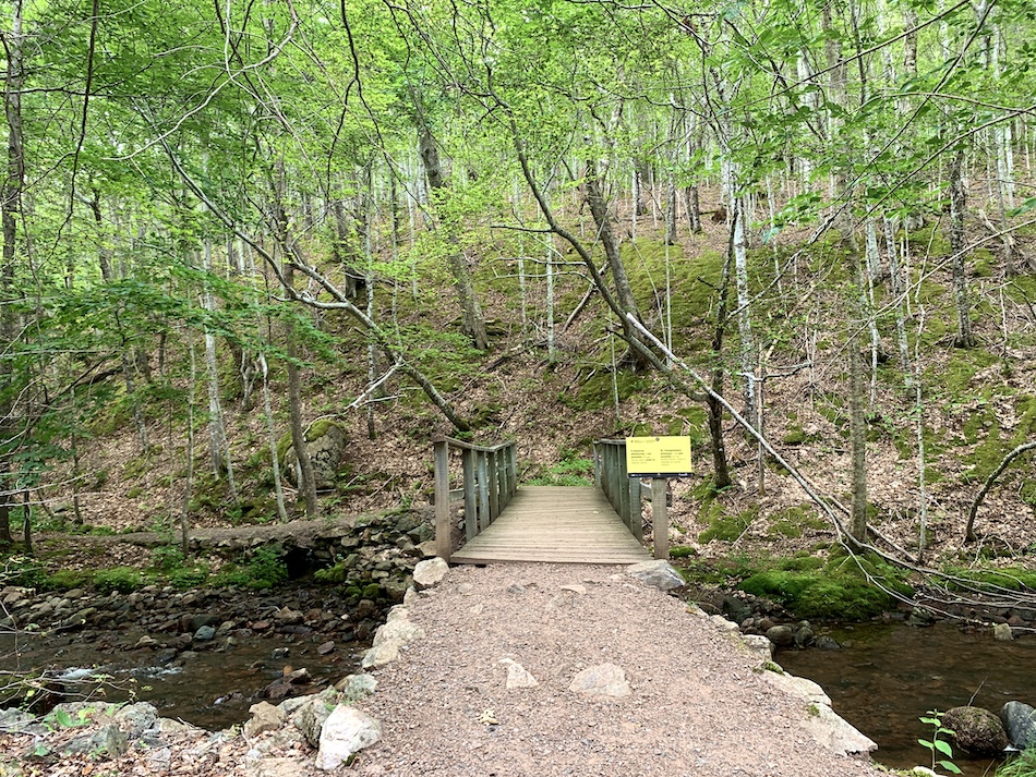 The pathway along MacIntosh Brook Trail with a wooden bridge to help you cross the brook. 
