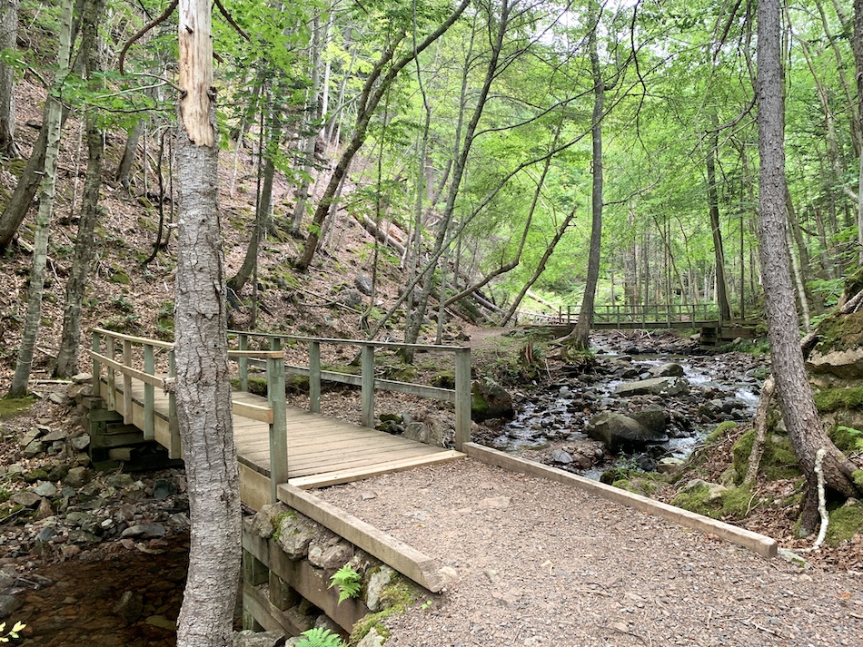 Wooden bridge to help cross the brook.