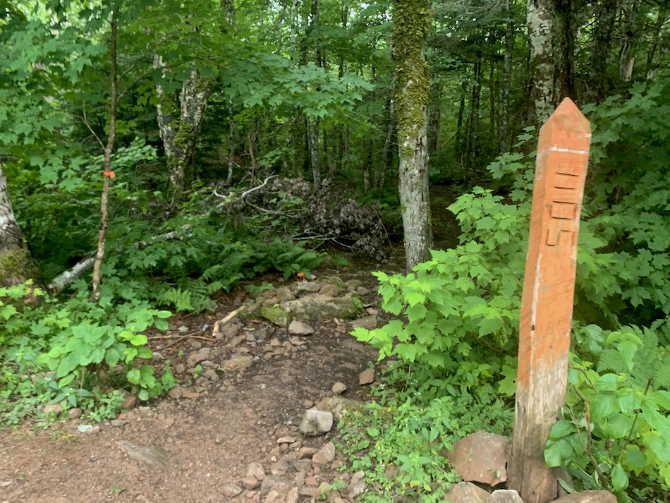 A photo of an orange wooden marker and the trail to Egypt Falls. 