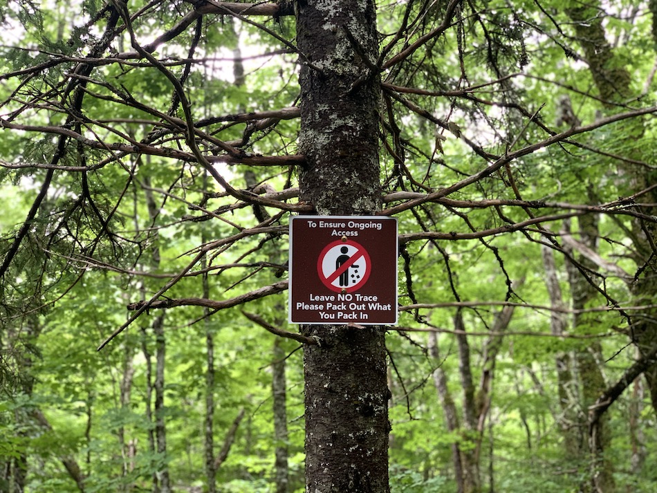 A sign on a tree at Egypt Falls that reads: To ensure ongoing access, Leave NO trace. Please pack out what you pack in.