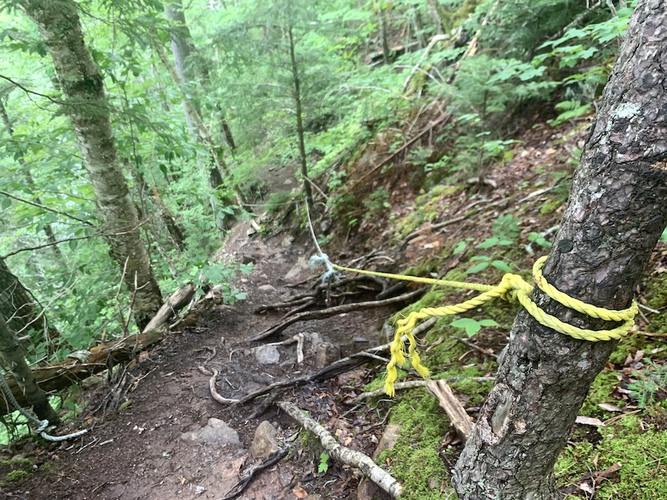 A yellow rope attached to the trees to assist hikers descend down to Egypt Falls.  