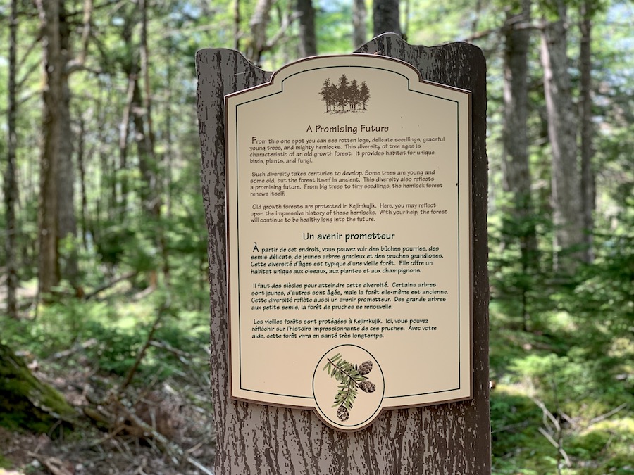 Information sign along Hemlocks and Hardwood trail at Kejimkujik National Park