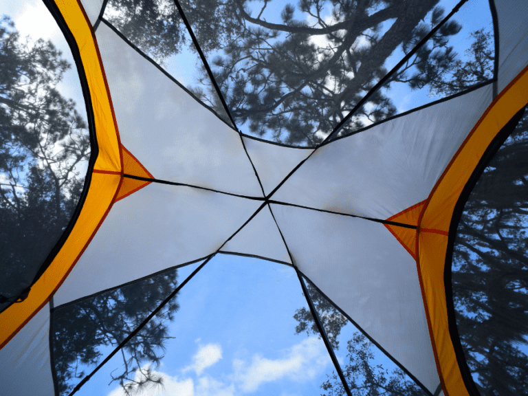 Top 11 Best Insect Net Brands On The Market For Hikers