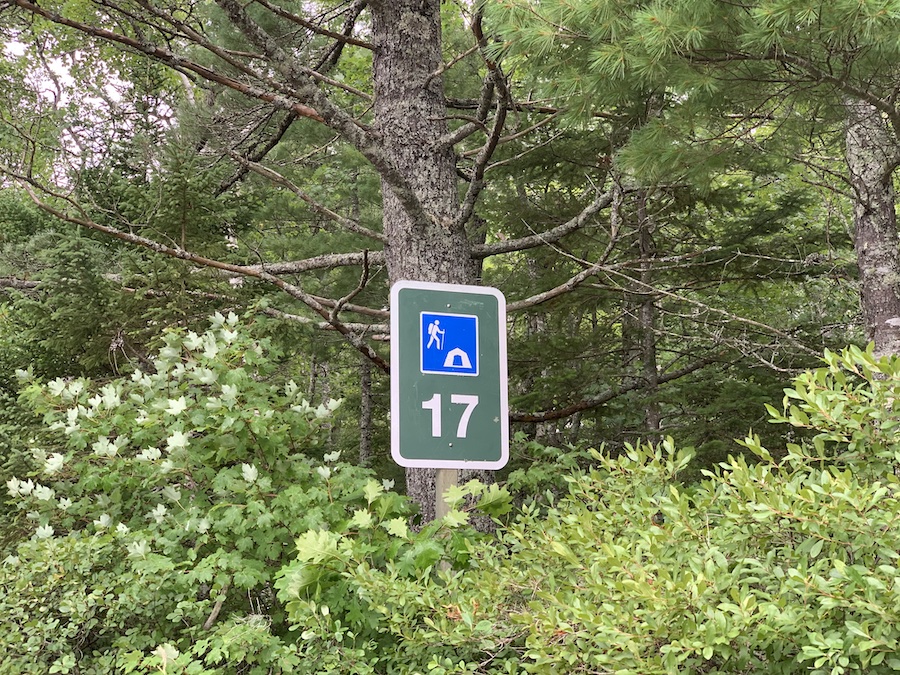 A sign for campsite number 17 along the Channel Lake Loop trail.