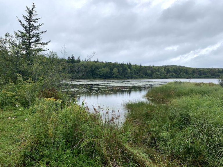 Hiking Van Tassel Lake Trails In Nova Scotia