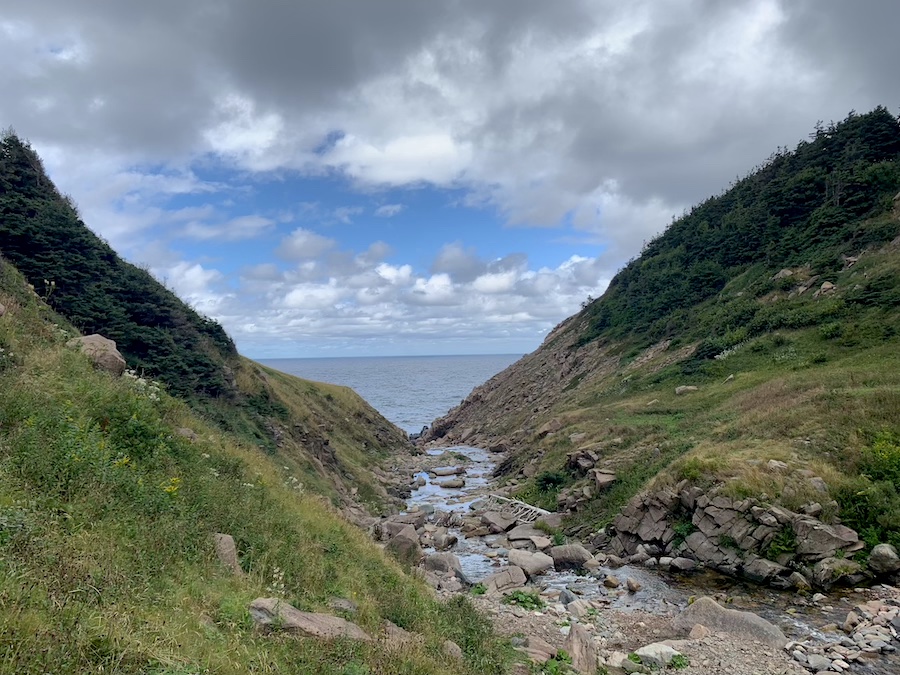 A small brook that you will cross when hiking to Pollett's Cove