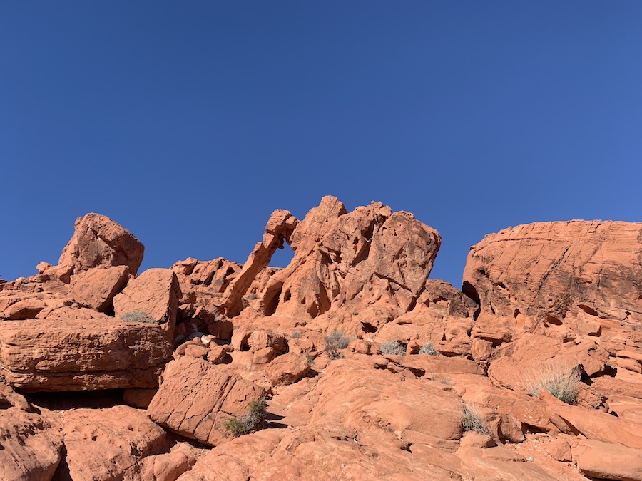 Elephant Rock in the Valley Of Fire State Park. 