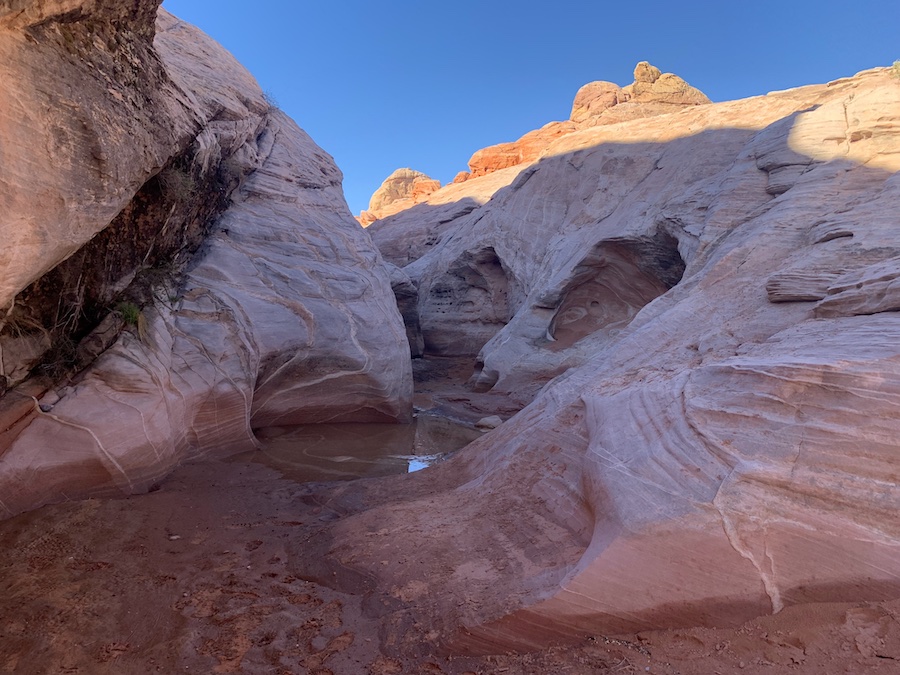 Beautiful large canyon trail that has water pooling in sections of it on the White Domes Trail.