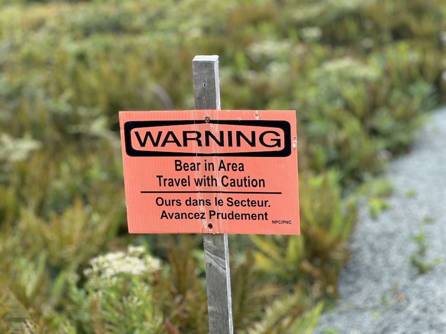 Warning sign indicating a bear is in the area at Harbour Rocks Trail in Kejimkujik.