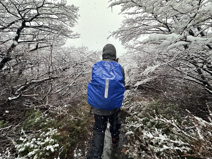Arthur hiking through Patagonia forest in the snow wearing the KÜHL one shell. 