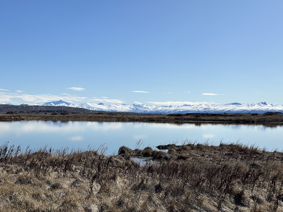 Views of Laguna Nimez Reserve with mountains in the background.