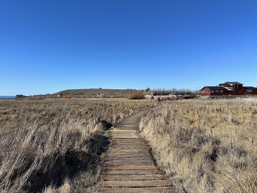 The boardwalk at the end of the trail at Laguna Nimez Reserve.
