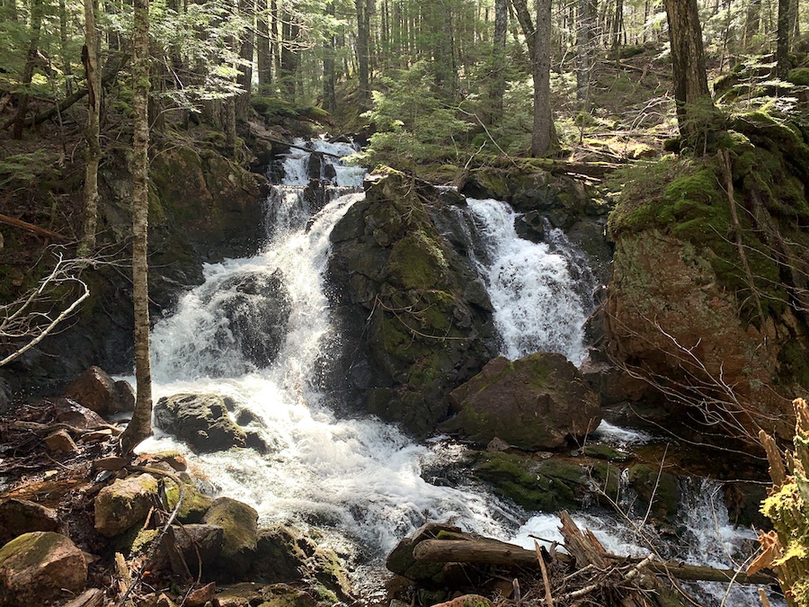 The fourth waterfall on the Horse Pasture Brooks Fall Trail.