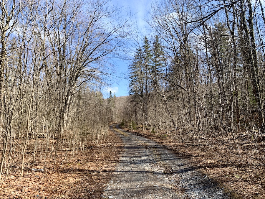 A groomed, wide ATV trail at the trailhead of Horse Pasture Brook Falls trail.