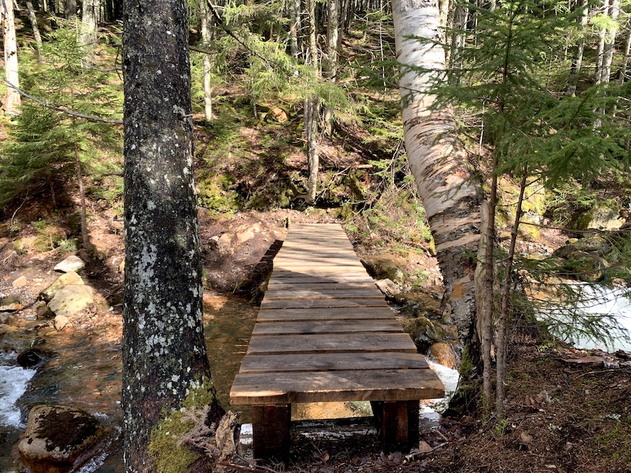 Bridge leading to one of the many waterfalls along Horse Pasture Brook Falls trail