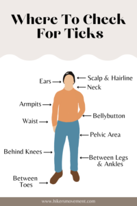 Where to check for ticks info graph created by Hikers Movement. Arrows point to parts of the body ticks often hide.