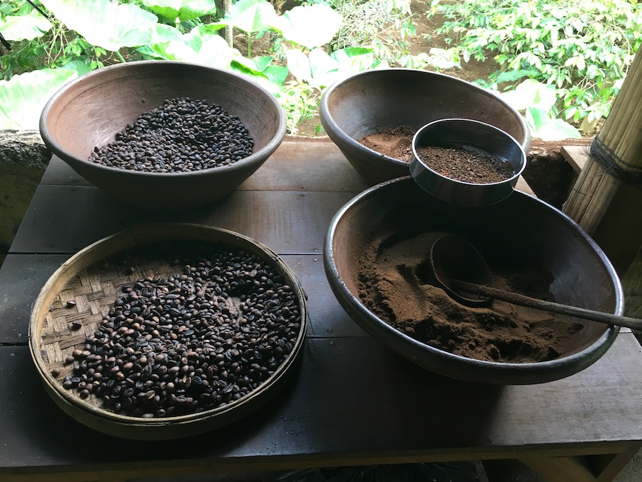 Coffee stages such as whole beans and ground beans at a coffee plantation in bali